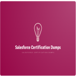 Salesforce Certification Dumps